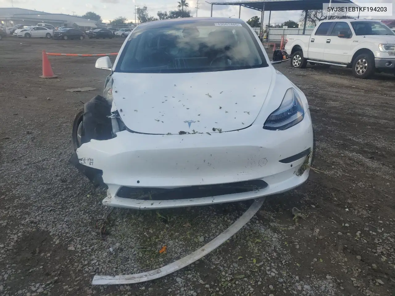 2019 Tesla Model 3 VIN: 5YJ3E1EB1KF194203 Lot: 43067465