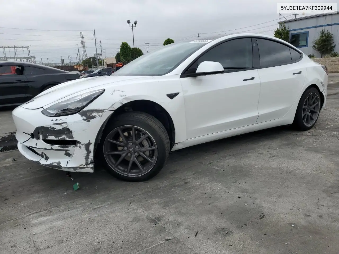 2019 Tesla Model 3 VIN: 5YJ3E1EA7KF309944 Lot: 55268665