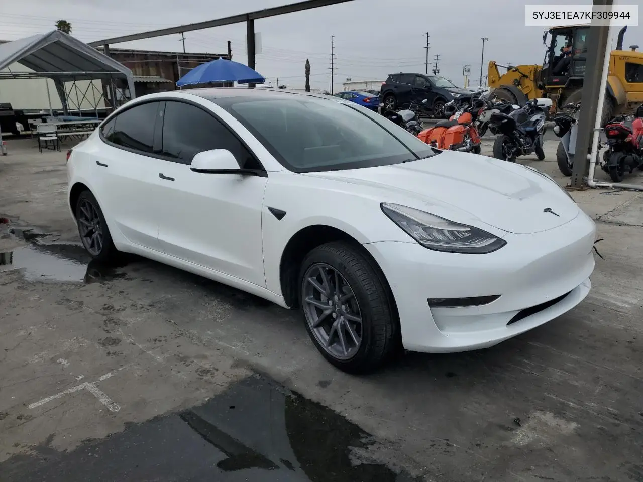 2019 Tesla Model 3 VIN: 5YJ3E1EA7KF309944 Lot: 55268665