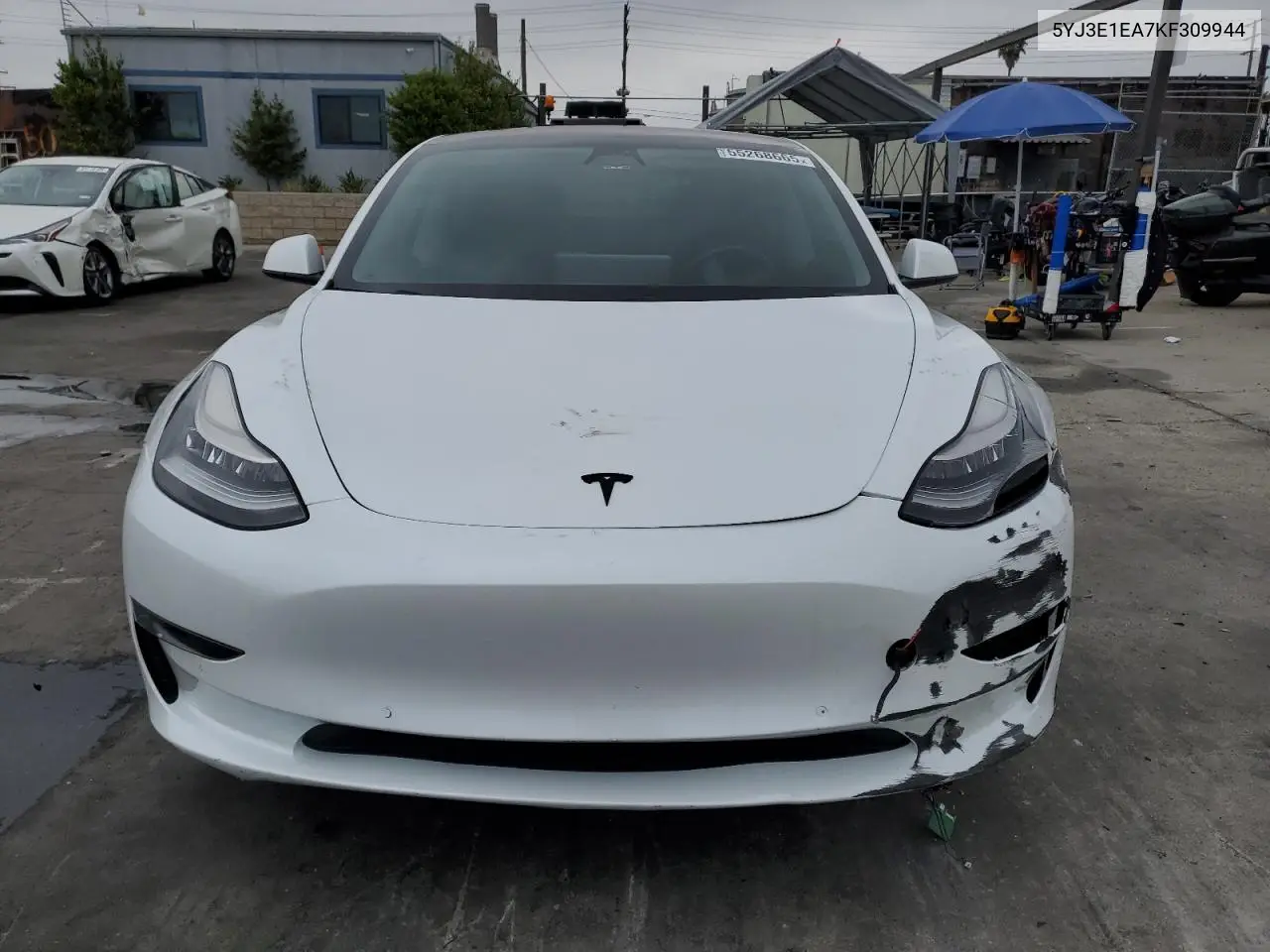 2019 Tesla Model 3 VIN: 5YJ3E1EA7KF309944 Lot: 55268665