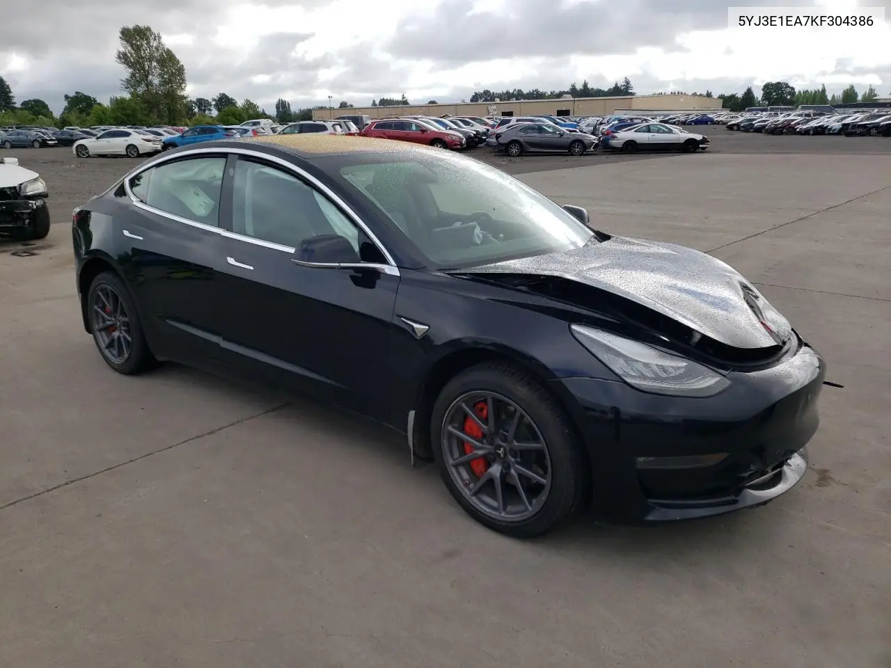 2019 Tesla Model 3 VIN: 5YJ3E1EA7KF304386 Lot: 56880055