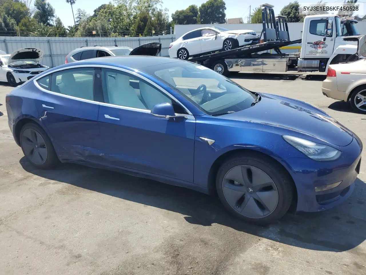 2019 Tesla Model 3 VIN: 5YJ3E1EB6KF450528 Lot: 62401725