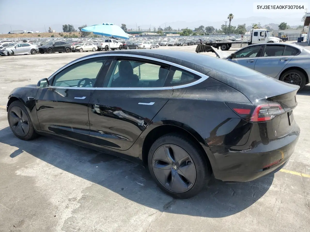 2019 Tesla Model 3 VIN: 5YJ3E1EA0KF307064 Lot: 62503965