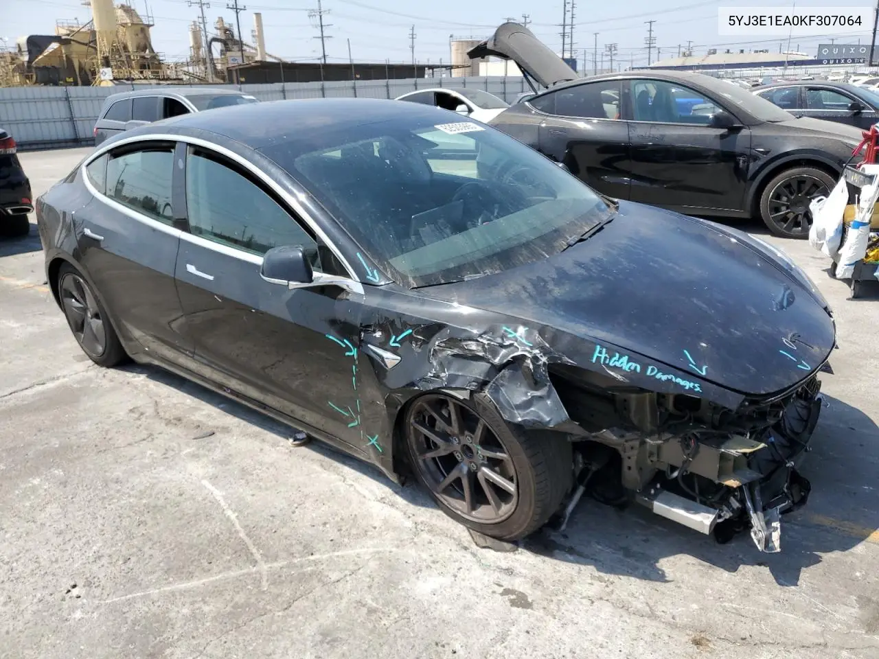 2019 Tesla Model 3 VIN: 5YJ3E1EA0KF307064 Lot: 62503965