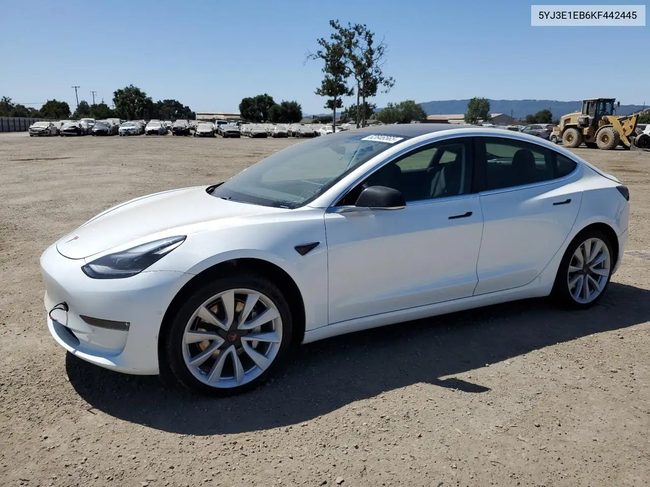 2019 Tesla Model 3 VIN: 5YJ3E1EB6KF442445 Lot: 62646565