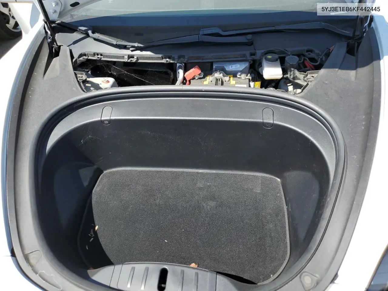 2019 Tesla Model 3 VIN: 5YJ3E1EB6KF442445 Lot: 62646565