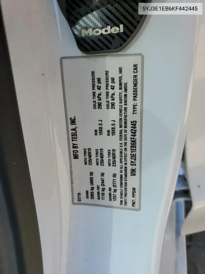 2019 Tesla Model 3 VIN: 5YJ3E1EB6KF442445 Lot: 62646565