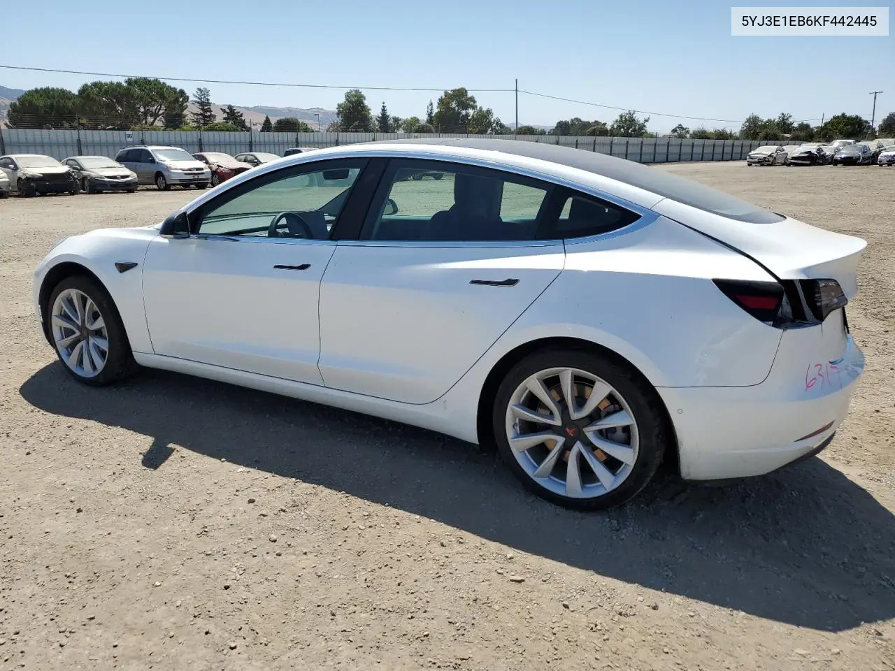 2019 Tesla Model 3 VIN: 5YJ3E1EB6KF442445 Lot: 62646565