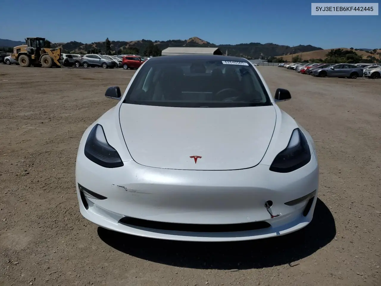 2019 Tesla Model 3 VIN: 5YJ3E1EB6KF442445 Lot: 62646565
