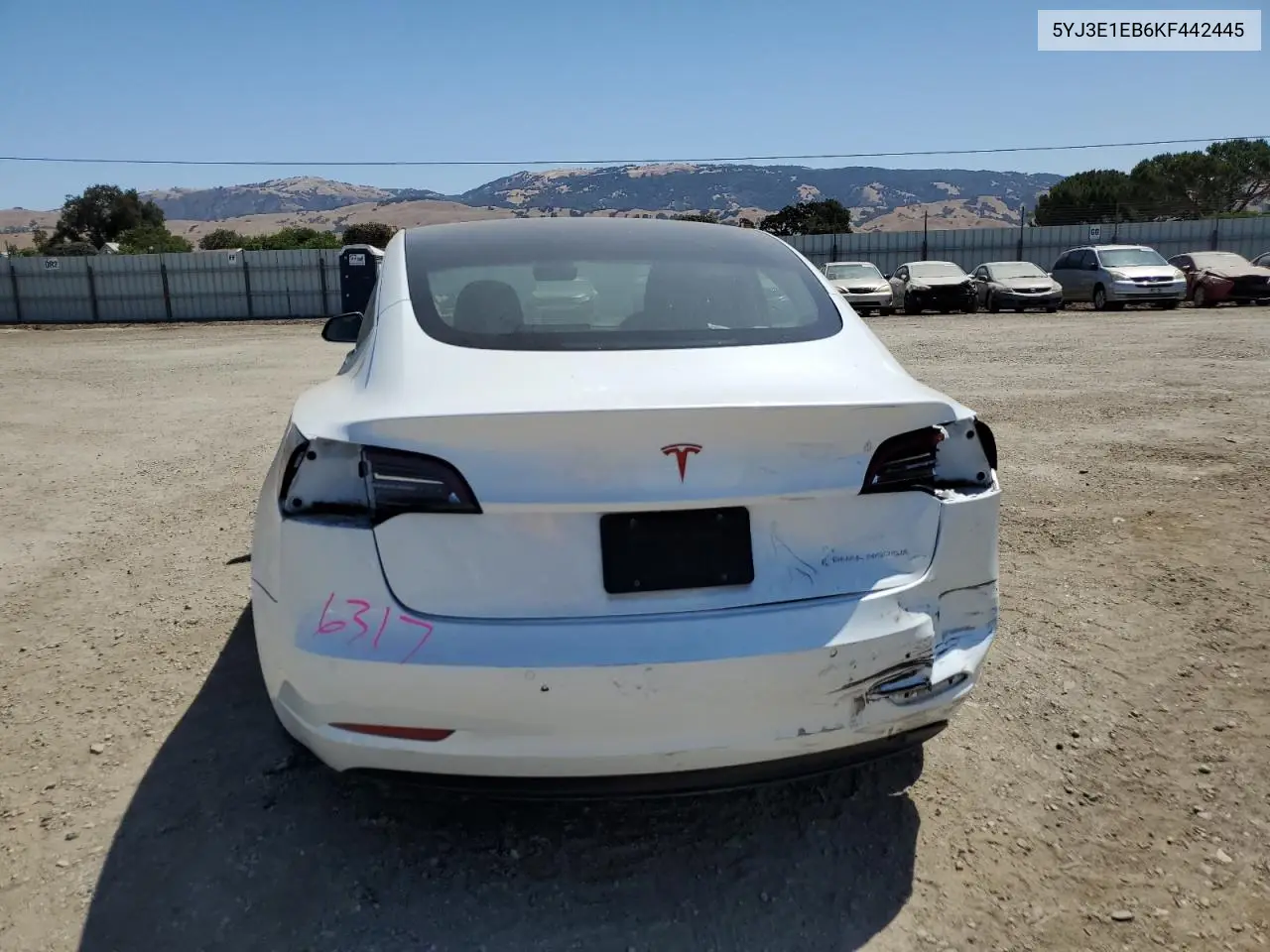 2019 Tesla Model 3 VIN: 5YJ3E1EB6KF442445 Lot: 62646565