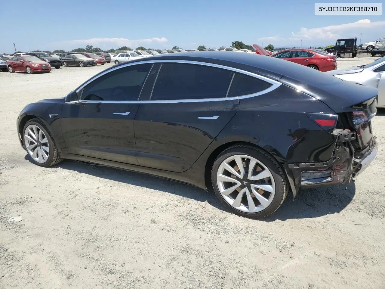 2019 Tesla Model 3 VIN: 5YJ3E1EB2KF388710 Lot: 62718395