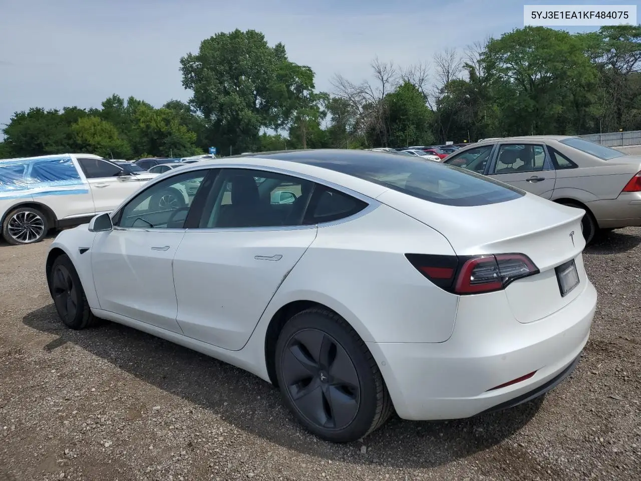 2019 Tesla Model 3 VIN: 5YJ3E1EA1KF484075 Lot: 62875535