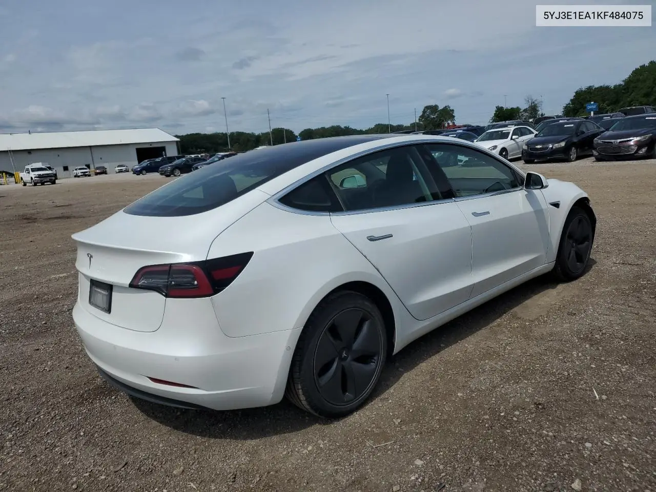 2019 Tesla Model 3 VIN: 5YJ3E1EA1KF484075 Lot: 62875535