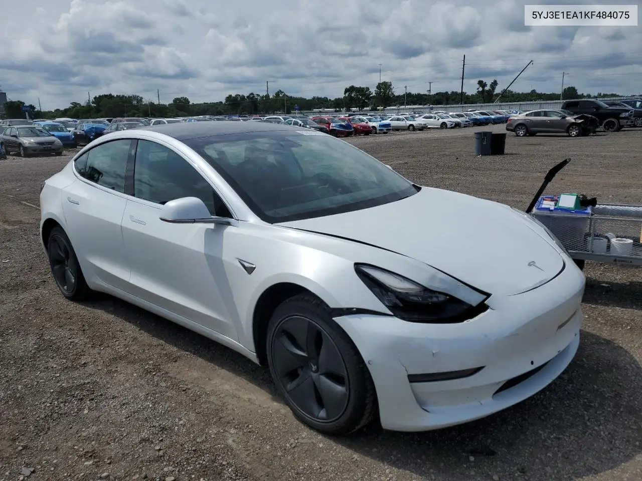 2019 Tesla Model 3 VIN: 5YJ3E1EA1KF484075 Lot: 62875535