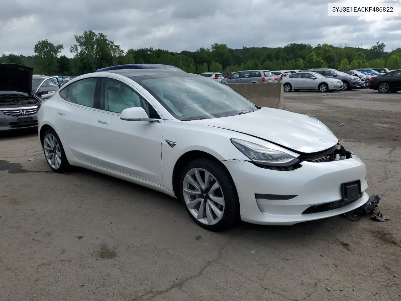 2019 Tesla Model 3 VIN: 5YJ3E1EA0KF486822 Lot: 62932885