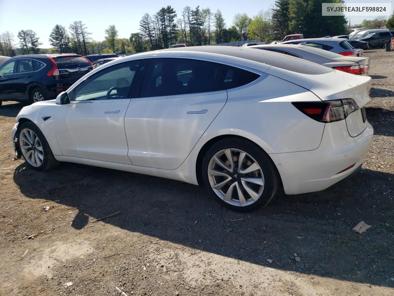 2020 Tesla Model 3 VIN: 5YJ3E1EA3LF598824 Lot: 54479905