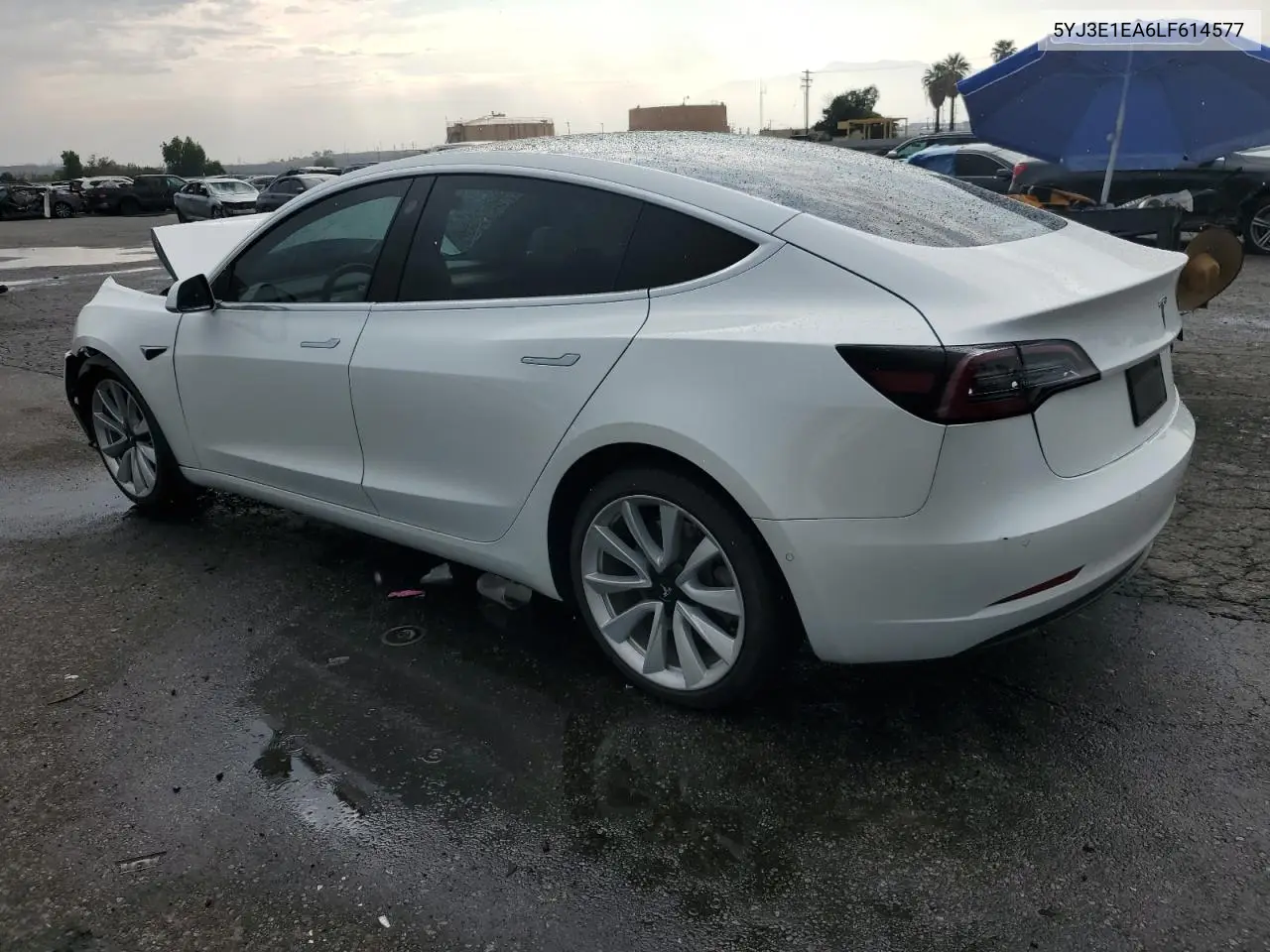 2020 Tesla Model 3 VIN: 5YJ3E1EA6LF614577 Lot: 59564905