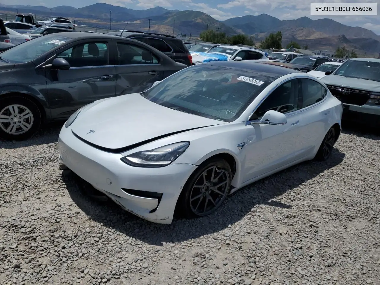 2020 Tesla Model 3 VIN: 5YJ3E1EB0LF666036 Lot: 61666255