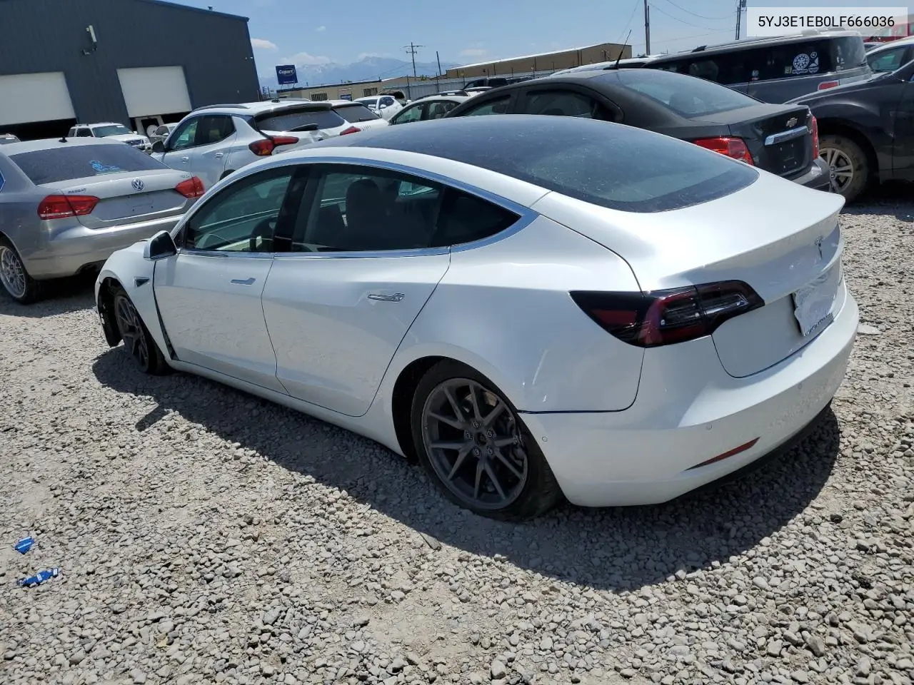 2020 Tesla Model 3 VIN: 5YJ3E1EB0LF666036 Lot: 61666255