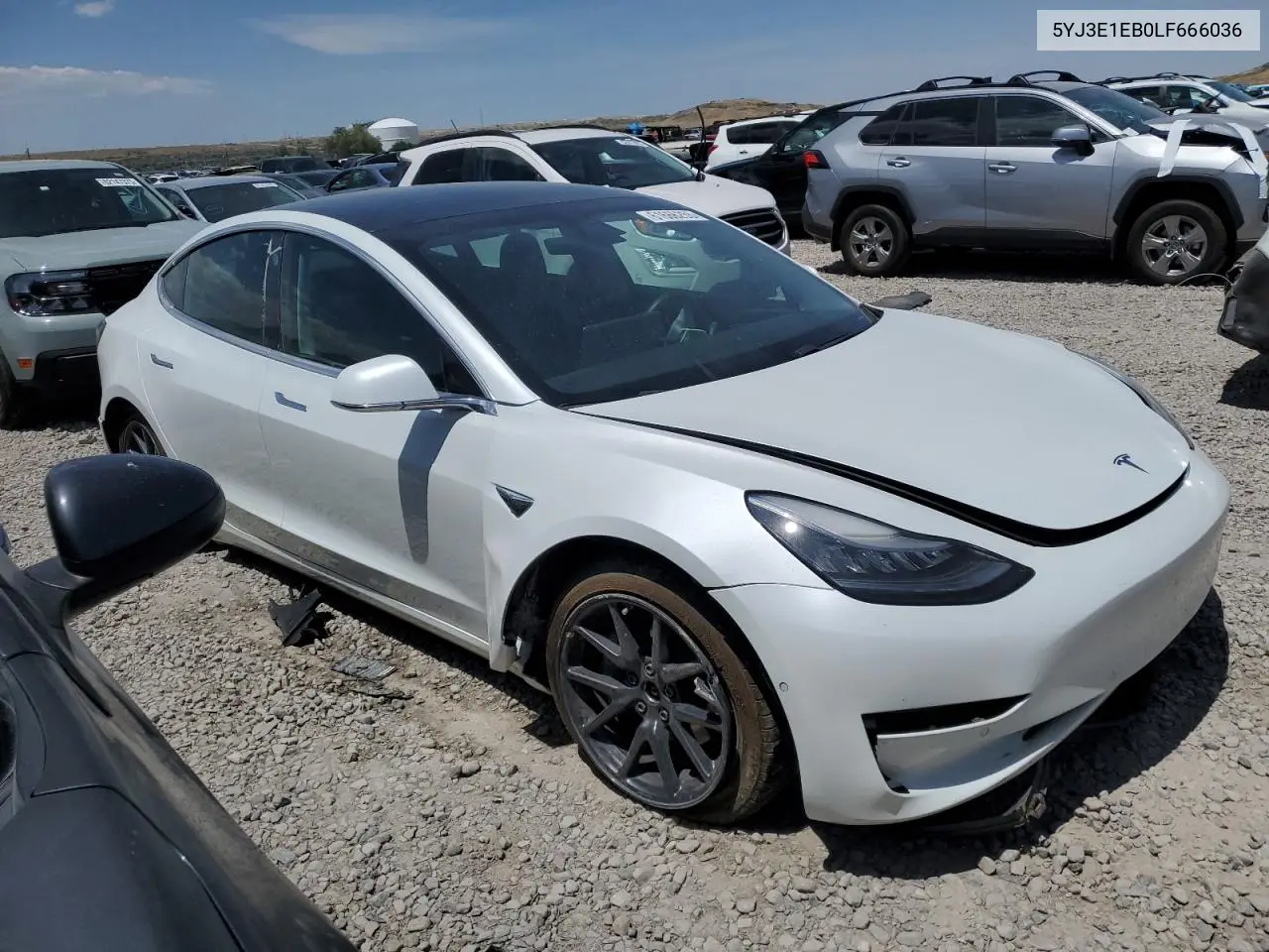 2020 Tesla Model 3 VIN: 5YJ3E1EB0LF666036 Lot: 61666255