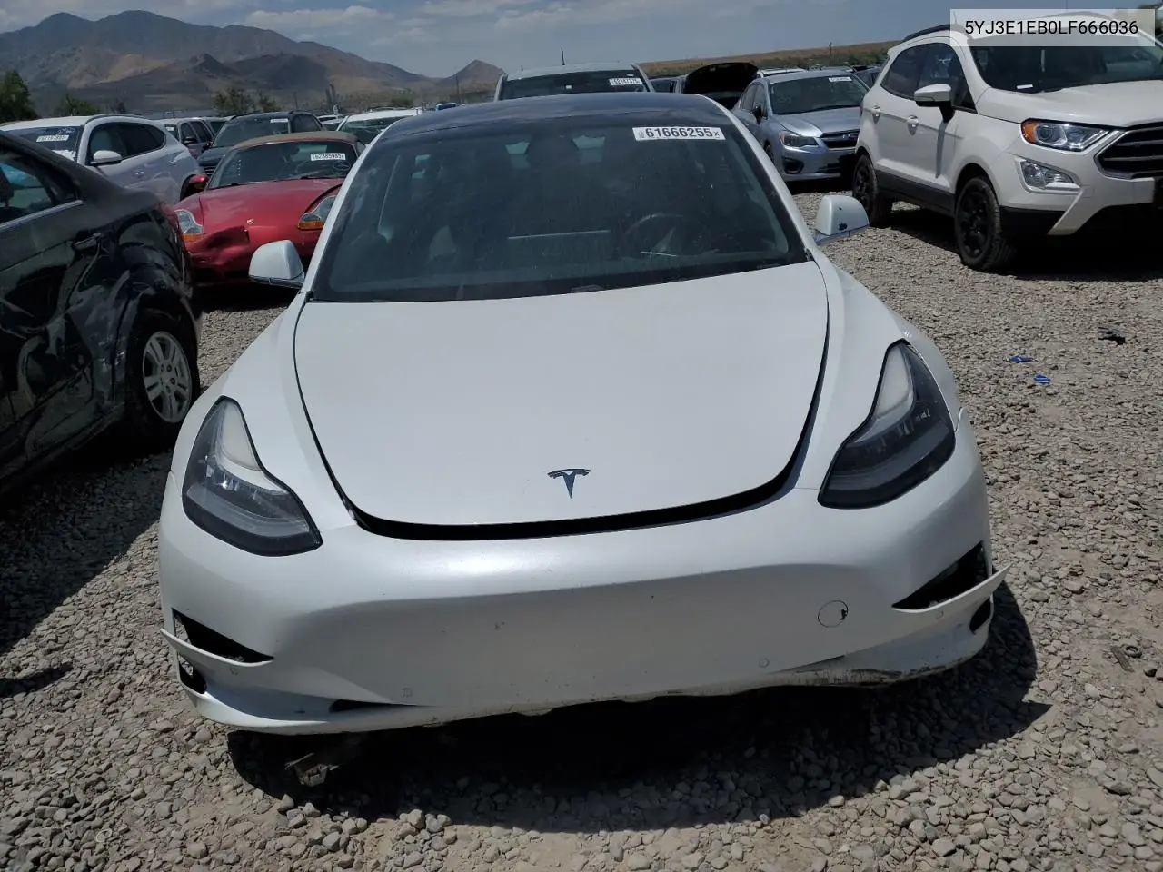 2020 Tesla Model 3 VIN: 5YJ3E1EB0LF666036 Lot: 61666255