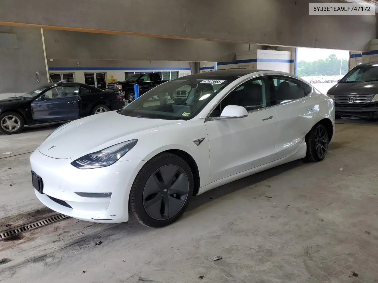 2020 Tesla Model 3 VIN: 5YJ3E1EA9LF747172 Lot: 61673655