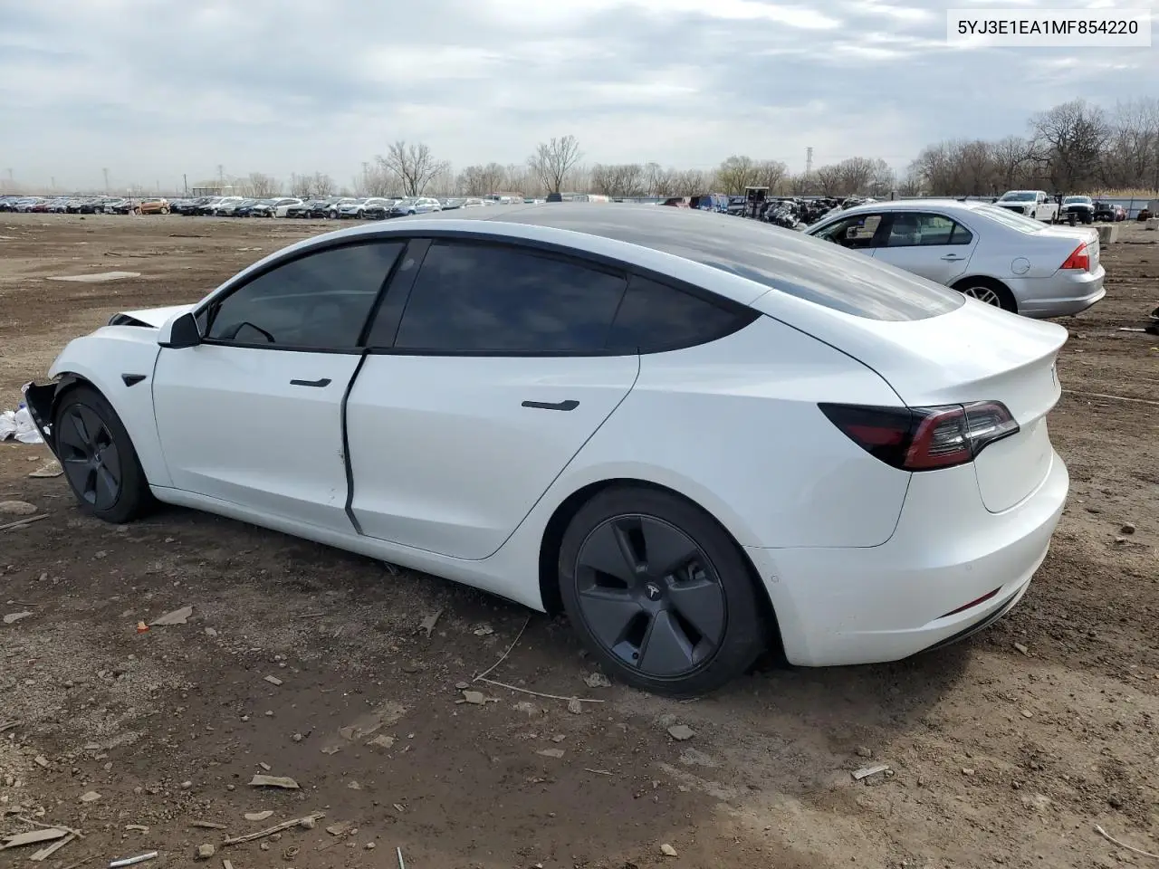 2021 Tesla Model 3 VIN: 5YJ3E1EA1MF854220 Lot: 52934105