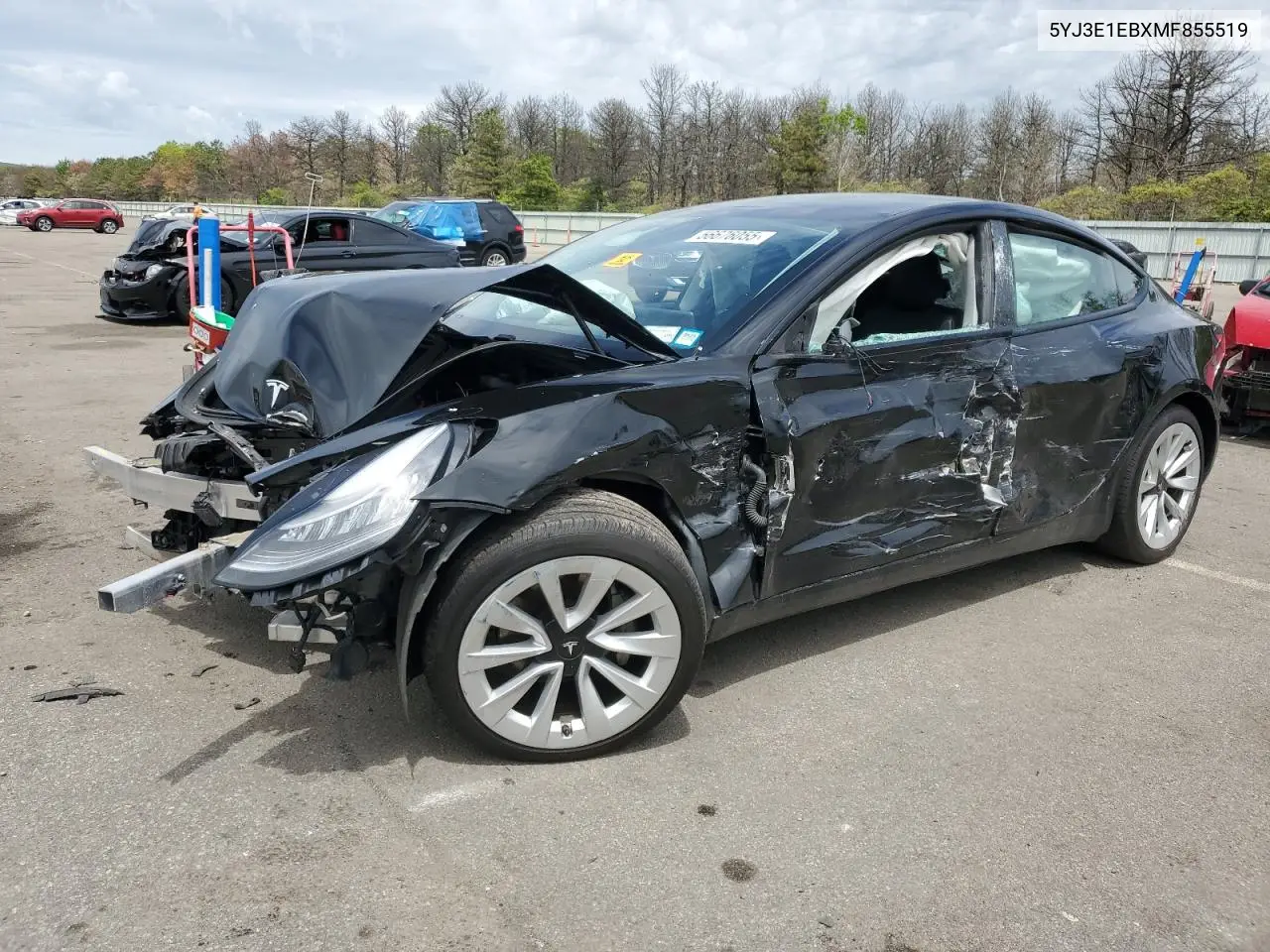 2021 Tesla Model 3 VIN: 5YJ3E1EBXMF855519 Lot: 56676055