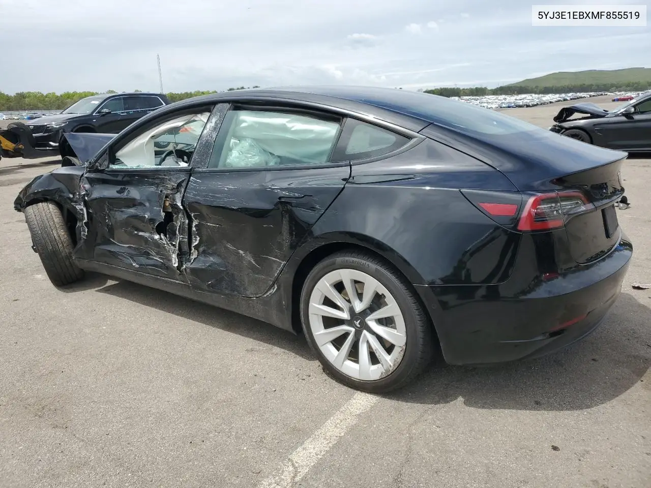 2021 Tesla Model 3 VIN: 5YJ3E1EBXMF855519 Lot: 56676055