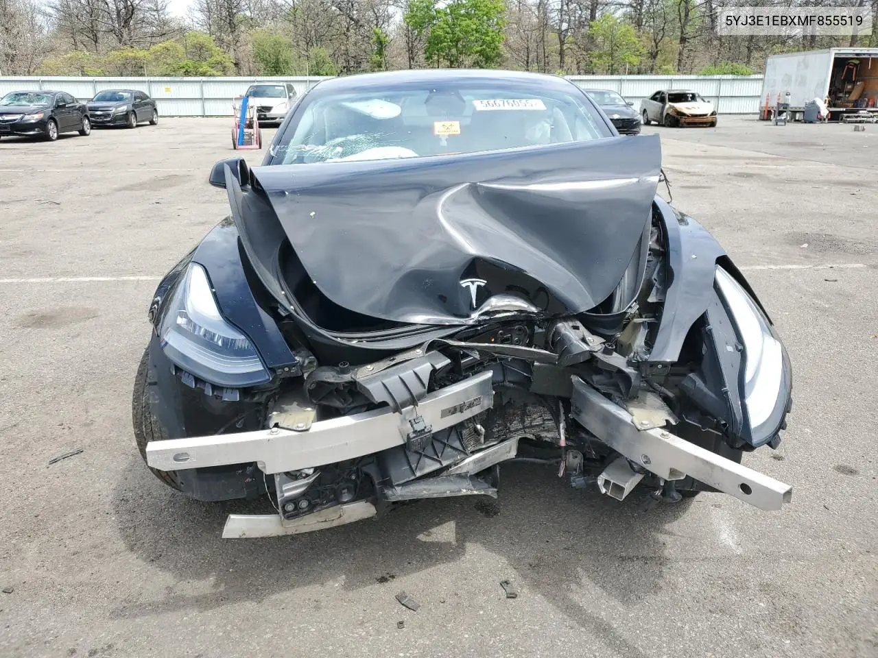2021 Tesla Model 3 VIN: 5YJ3E1EBXMF855519 Lot: 56676055