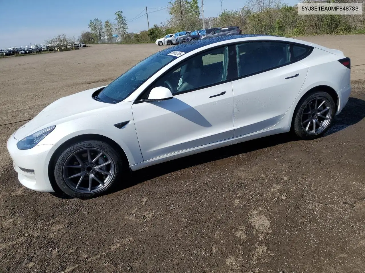 2021 Tesla Model 3 VIN: 5YJ3E1EA0MF848733 Lot: 56865545