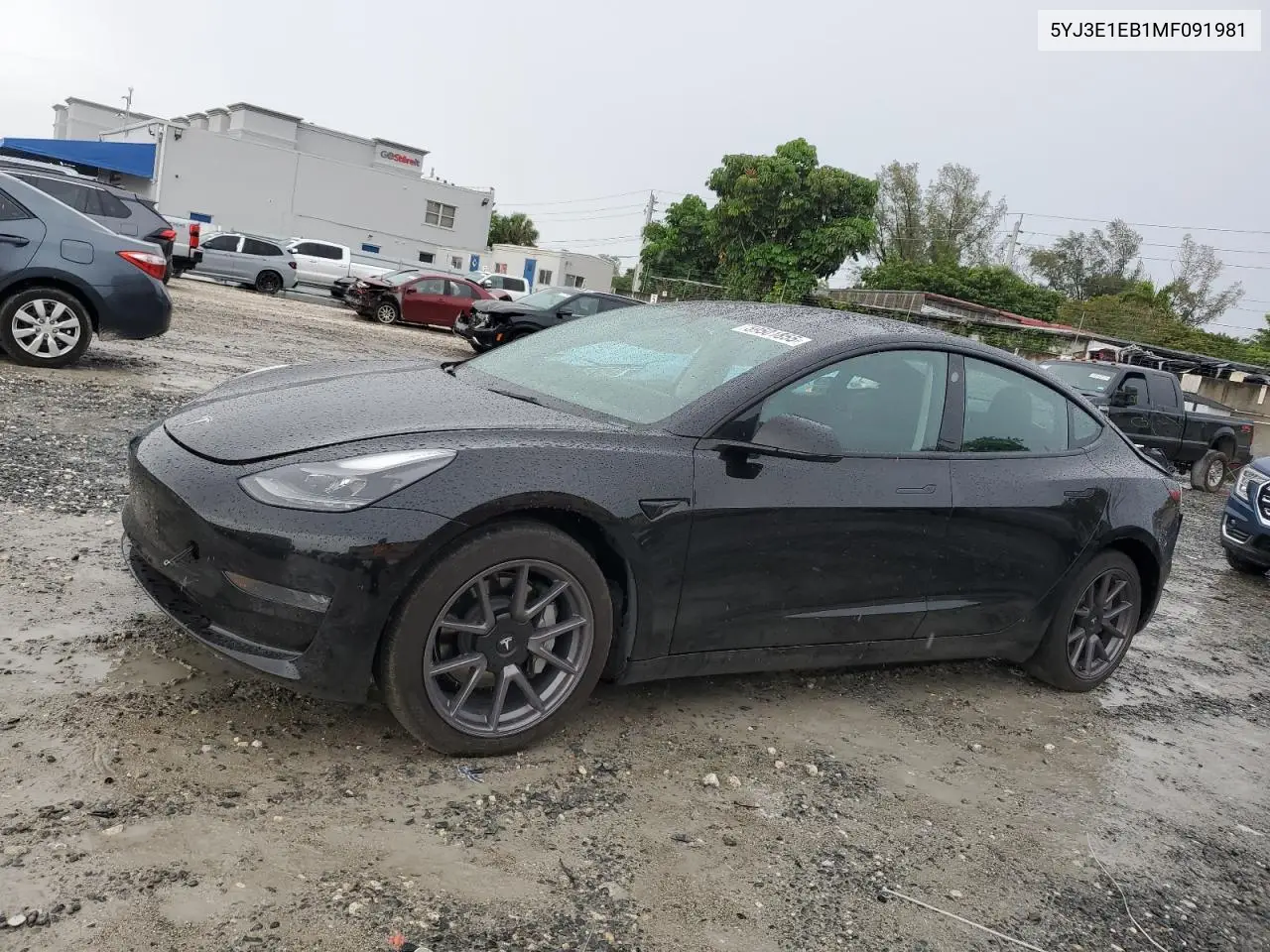 2021 Tesla Model 3 VIN: 5YJ3E1EB1MF091981 Lot: 59501855