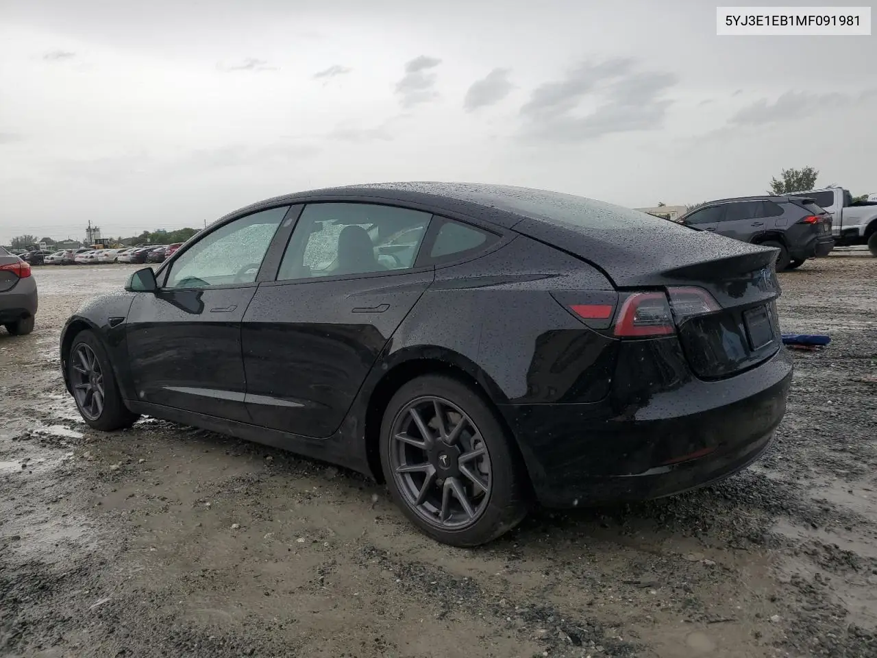 2021 Tesla Model 3 VIN: 5YJ3E1EB1MF091981 Lot: 59501855