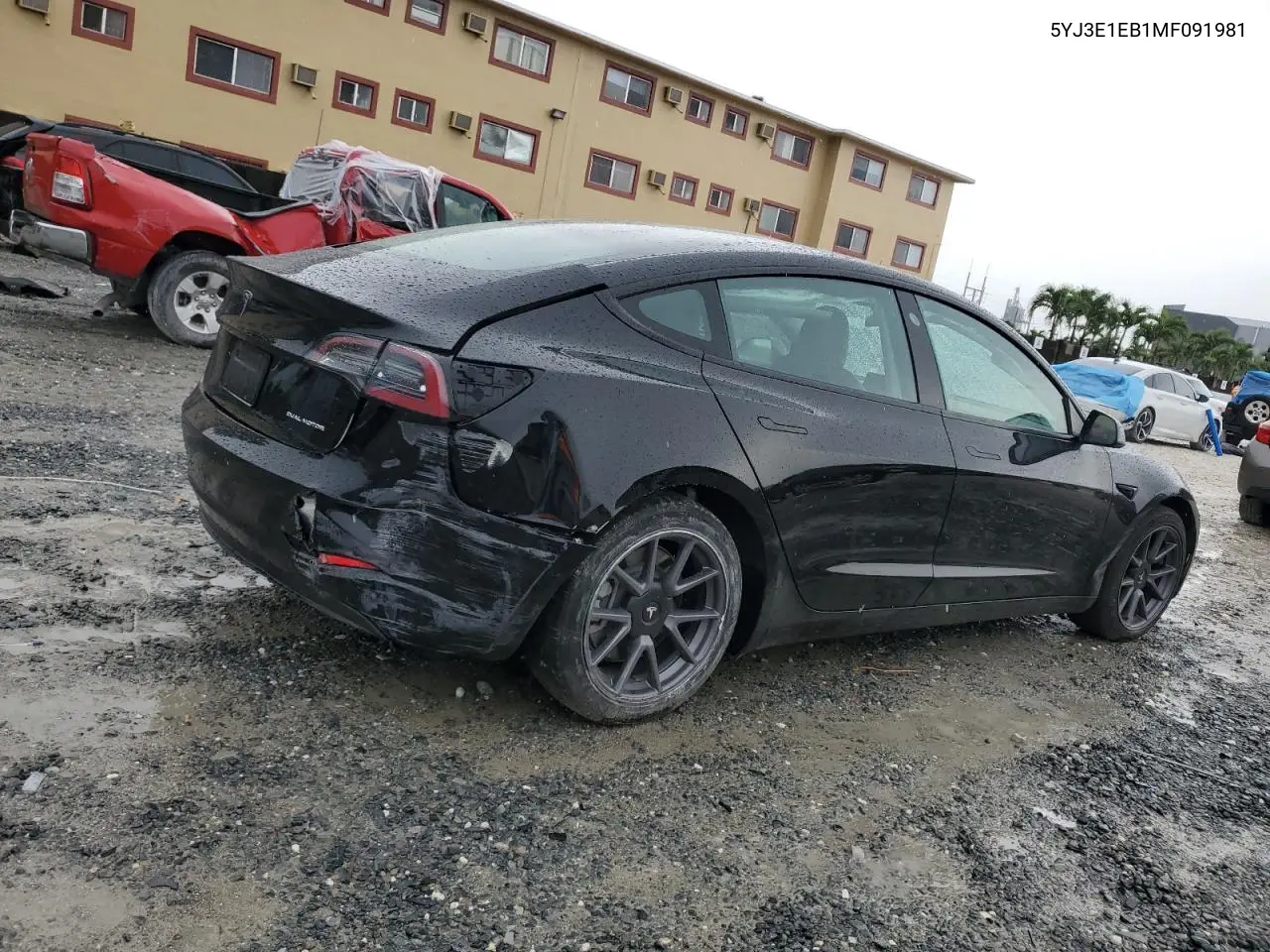 2021 Tesla Model 3 VIN: 5YJ3E1EB1MF091981 Lot: 59501855