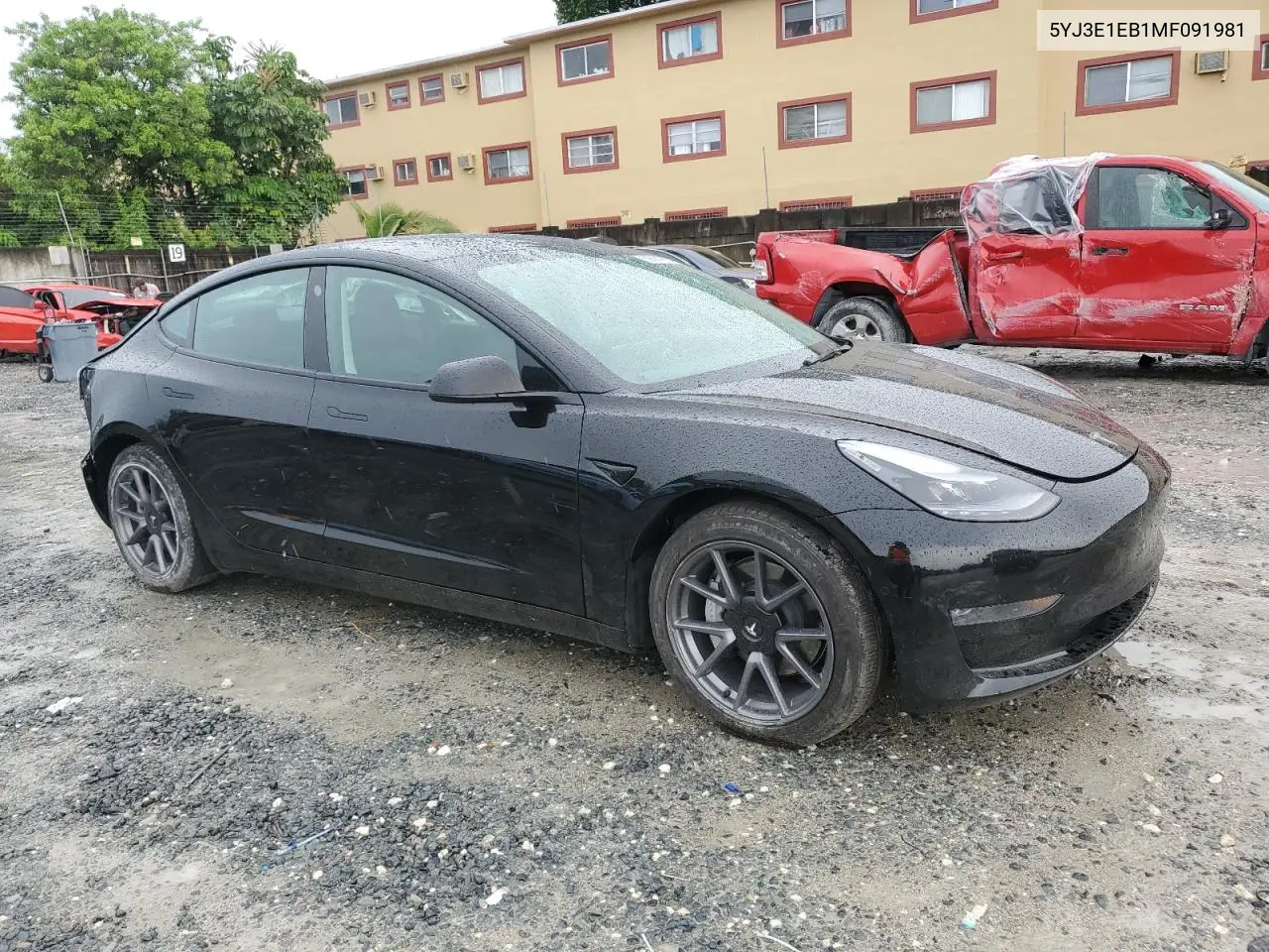 2021 Tesla Model 3 VIN: 5YJ3E1EB1MF091981 Lot: 59501855