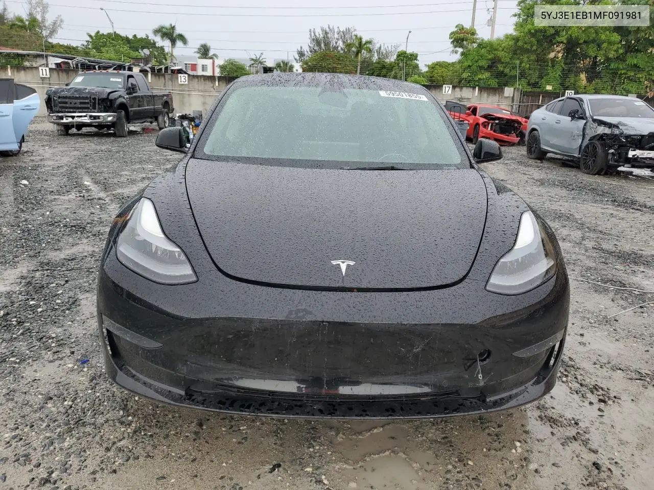 2021 Tesla Model 3 VIN: 5YJ3E1EB1MF091981 Lot: 59501855