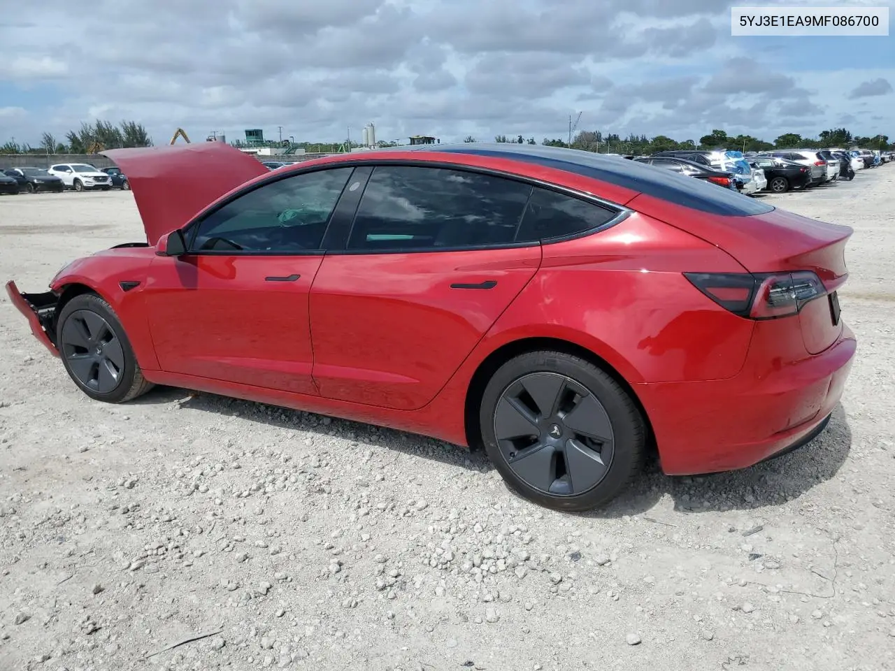 2021 Tesla Model 3 VIN: 5YJ3E1EA9MF086700 Lot: 62742135