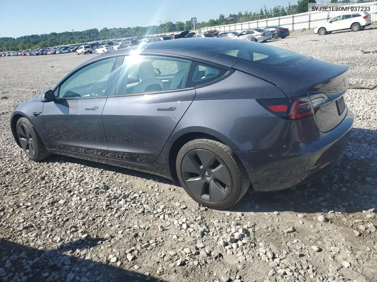 2021 Tesla Model 3 VIN: 5YJ3E1EB0MF037233 Lot: 62899935
