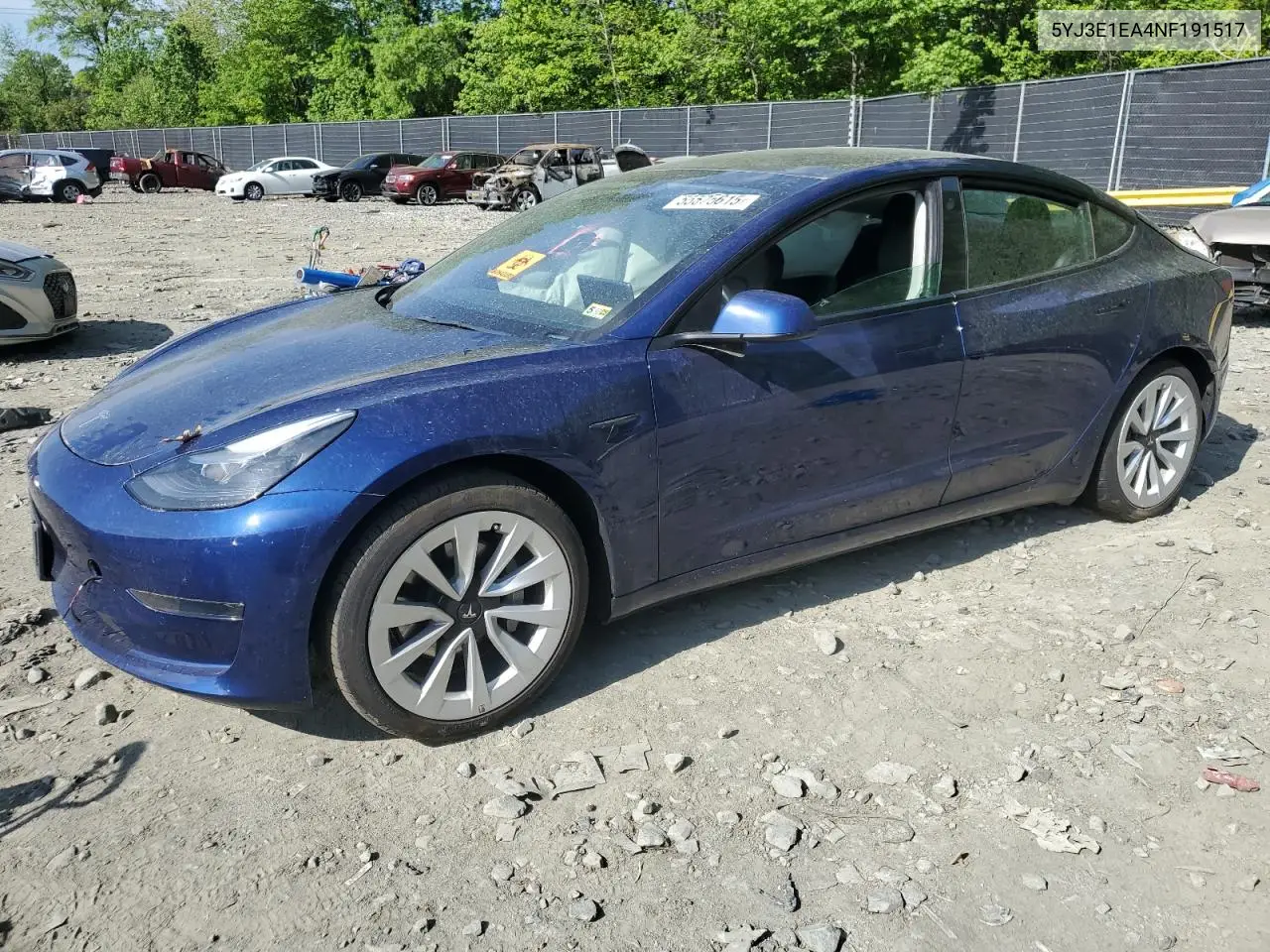 2022 Tesla Model 3 VIN: 5YJ3E1EA4NF191517 Lot: 55575615