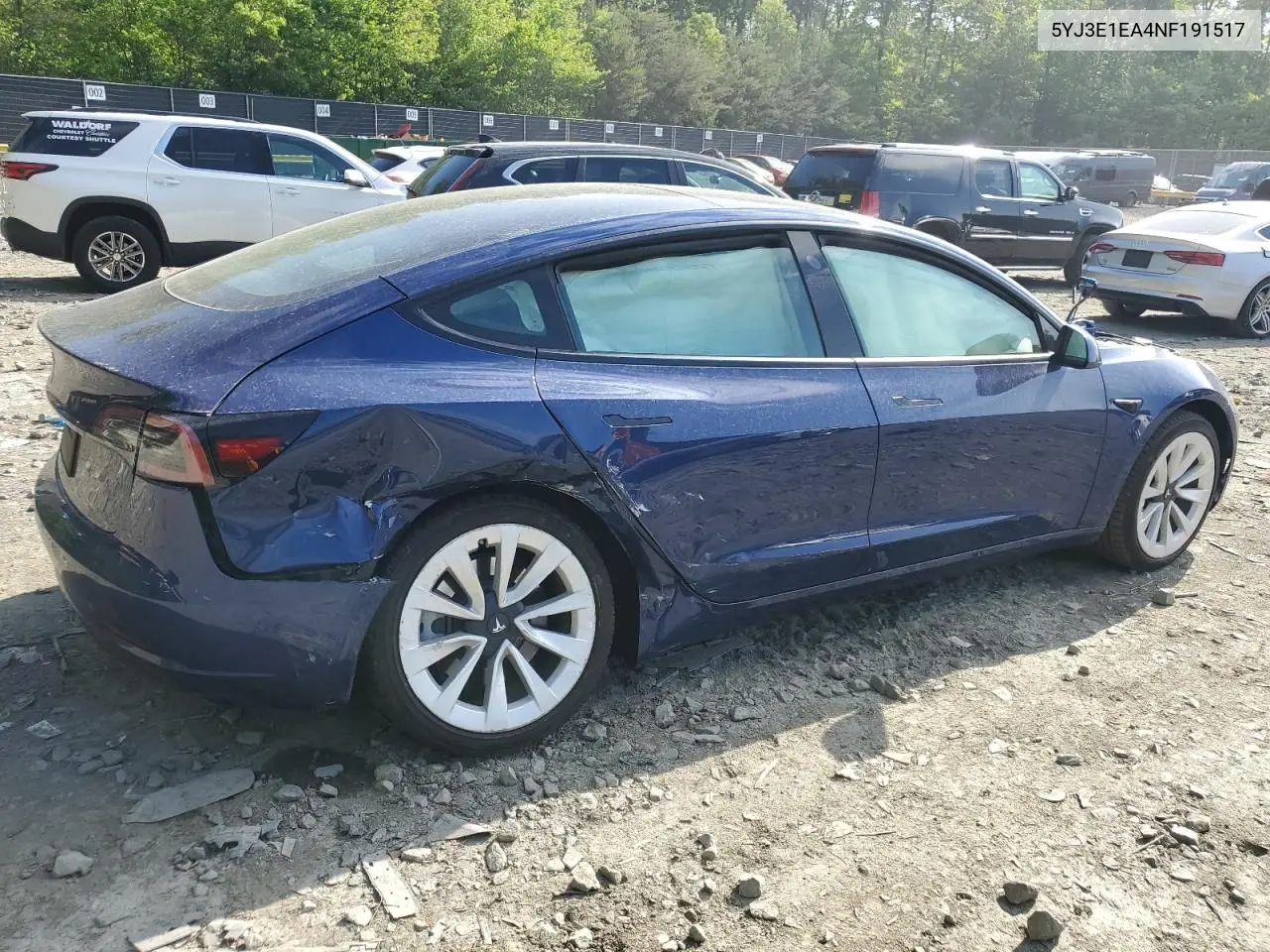 2022 Tesla Model 3 VIN: 5YJ3E1EA4NF191517 Lot: 55575615