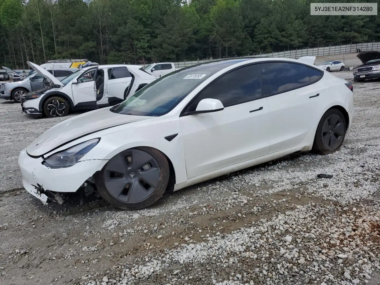 2022 Tesla Model 3 VIN: 5YJ3E1EA2NF314280 Lot: 55970095