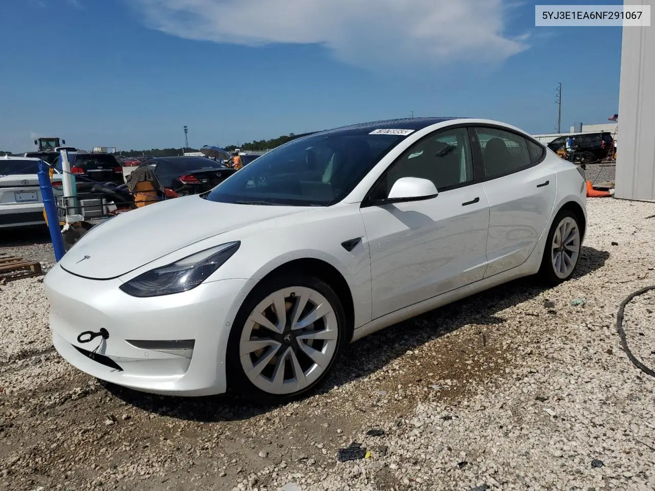 2022 Tesla Model 3 VIN: 5YJ3E1EA6NF291067 Lot: 61076955