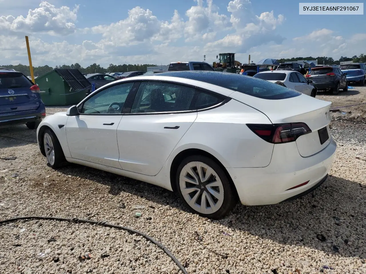 2022 Tesla Model 3 VIN: 5YJ3E1EA6NF291067 Lot: 61076955