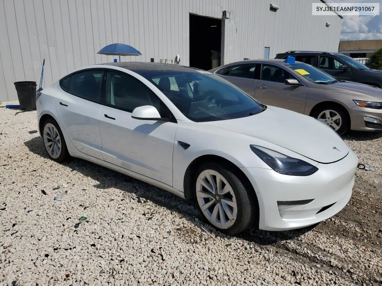 2022 Tesla Model 3 VIN: 5YJ3E1EA6NF291067 Lot: 61076955