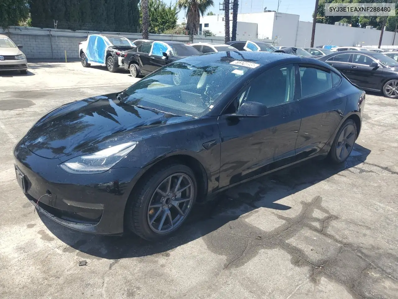 2022 Tesla Model 3 VIN: 5YJ3E1EAXNF288480 Lot: 61374895