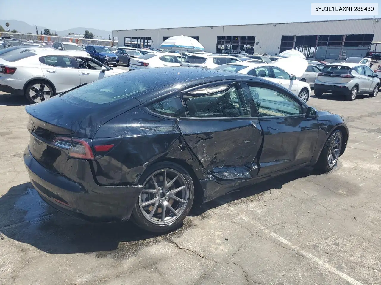 2022 Tesla Model 3 VIN: 5YJ3E1EAXNF288480 Lot: 61374895