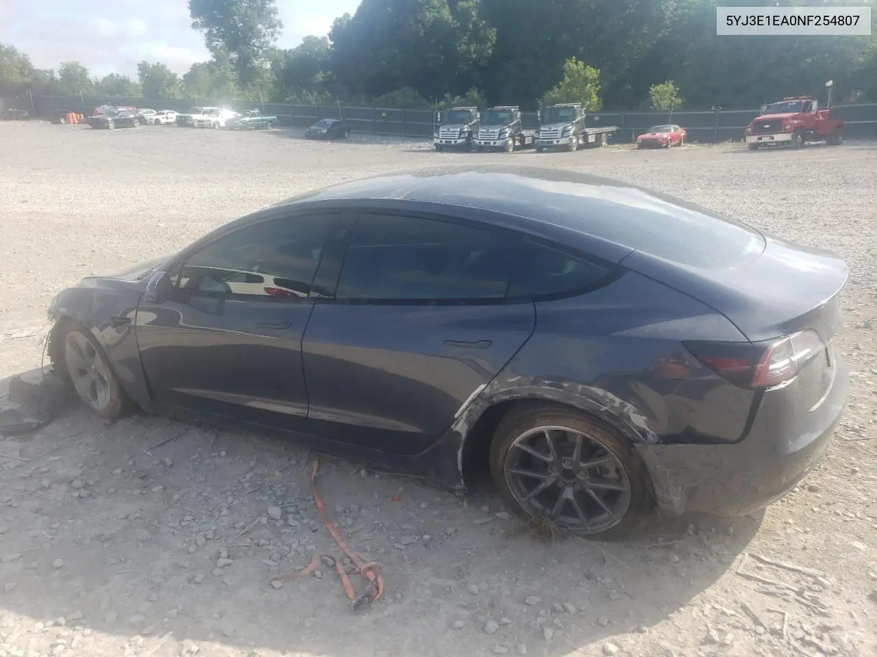 2022 Tesla Model 3 VIN: 5YJ3E1EA0NF254807 Lot: 61753605