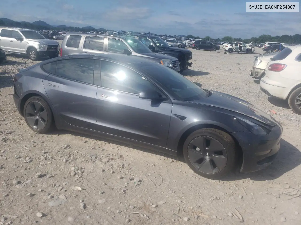 2022 Tesla Model 3 VIN: 5YJ3E1EA0NF254807 Lot: 61753605