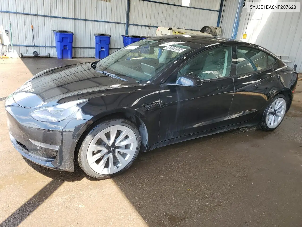 2022 Tesla Model 3 VIN: 5YJ3E1EA6NF287620 Lot: 62234835