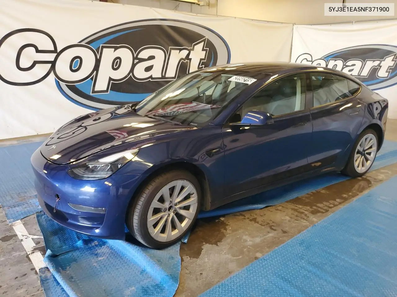 2022 Tesla Model 3 VIN: 5YJ3E1EA5NF371900 Lot: 62256215